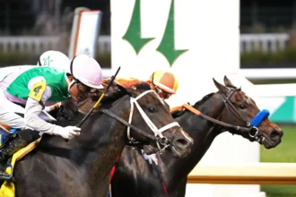 Conceit Defeats Explora, Denies Mario Gutierrez Birthday Win in Dogwood