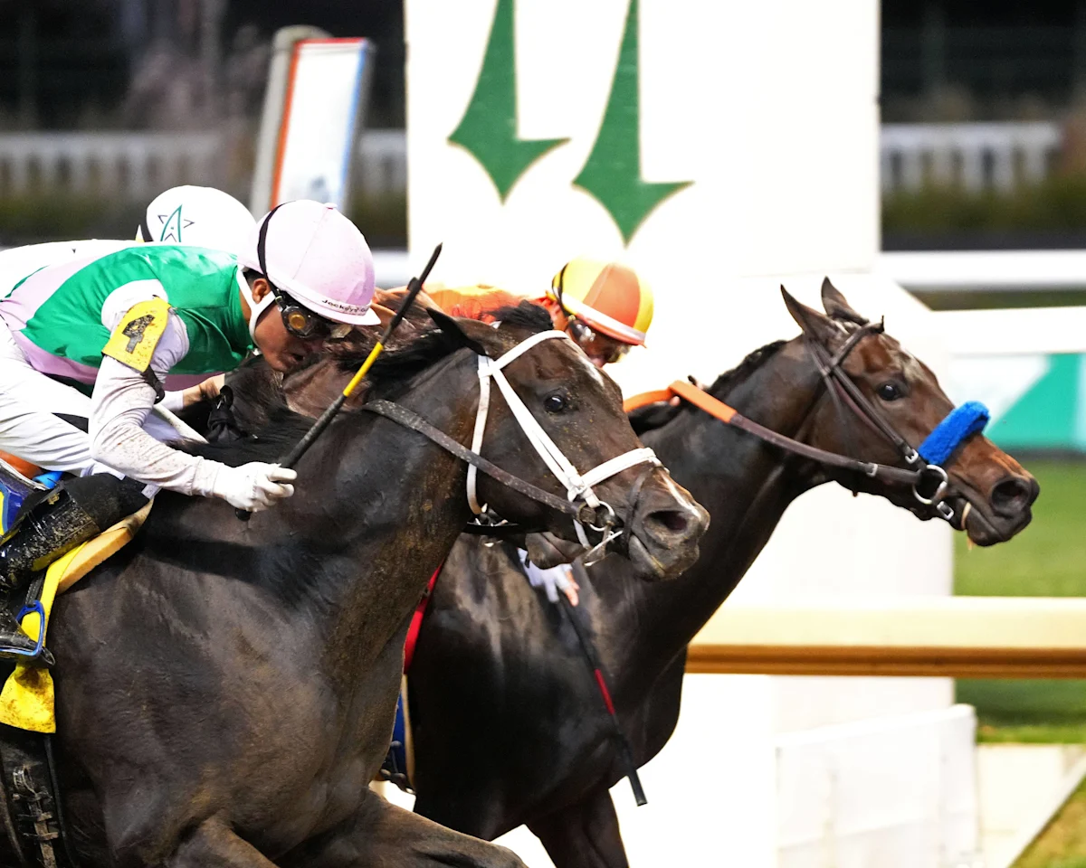 Conceit Defeats Explora, Denies Mario Gutierrez Birthday Win in Dogwood