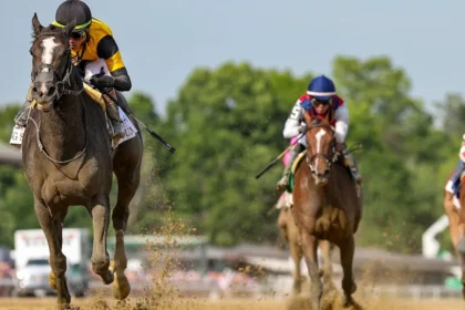 Counting Stars Faces Older Fillies and Mares in Spinster Stakes