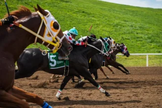 Dale Romans Urges Kentucky Regulators to Address Fatalities at Ellis and Quarter Horse Meet