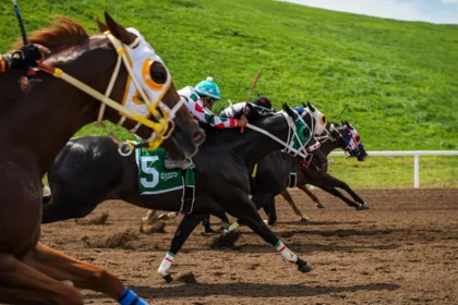 Dale Romans Urges Kentucky Regulators to Address Fatalities at Ellis and Quarter Horse Meet