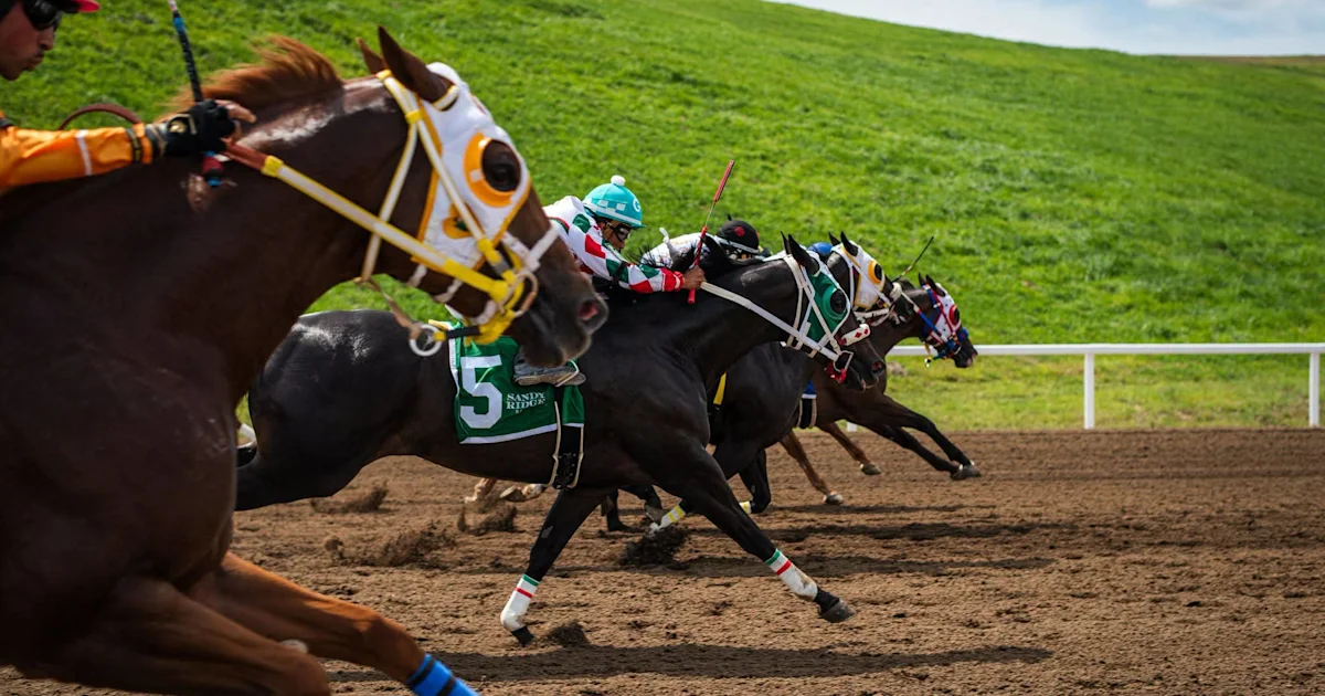 Dale Romans Urges Kentucky Regulators to Address Fatalities at Ellis and Quarter Horse Meet