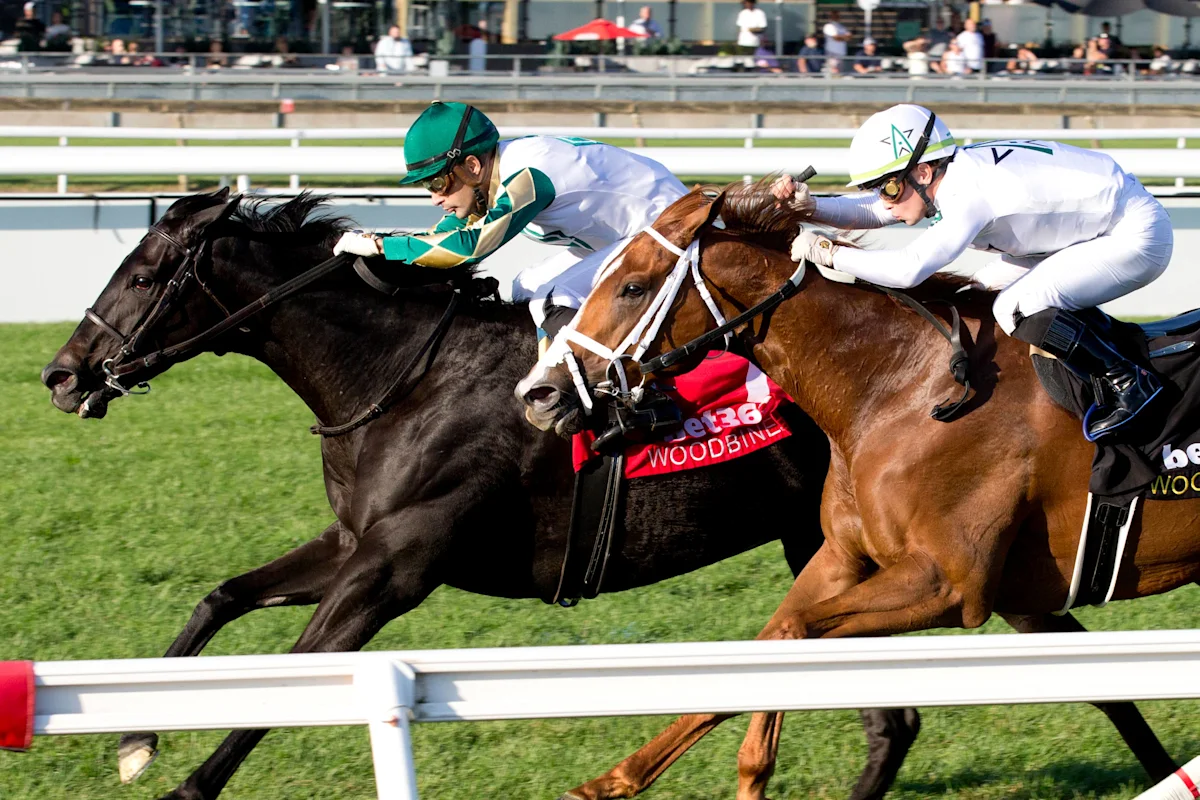 Dance Smartly Stakes to Offer Berth to Pegasus World Cup Filly & Mare Turf Again