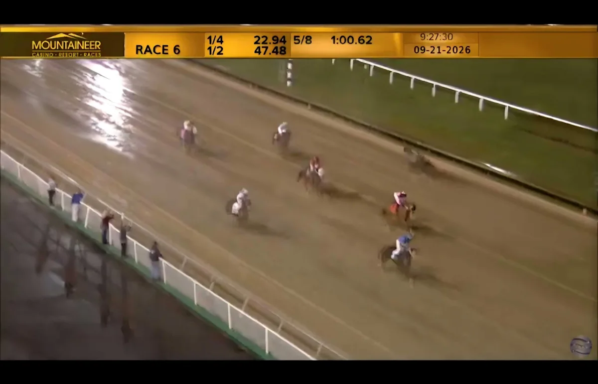 Disaster Averted as Loose Horse Runs Toward Oncoming Field at Mountaineer
