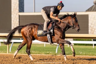 Dual Classic Winner Golden Tempo to Train for Breeders’ Cup Classic