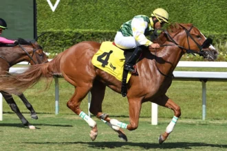Dual Surface Stakes Winner Liberty Rings to Compete Against Boys in Hollywood Beach Race