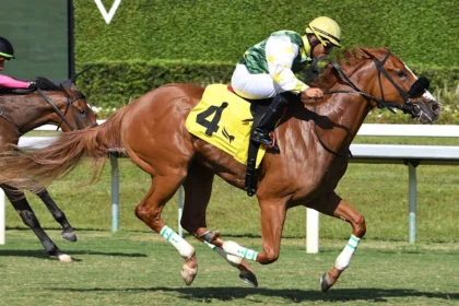 Dual Surface Stakes Winner Liberty Rings to Compete Against Boys in Hollywood Beach Race