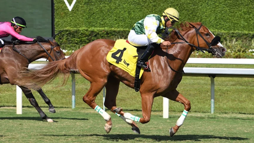 Dual Surface Stakes Winner Liberty Rings to Compete Against Boys in Hollywood Beach Race