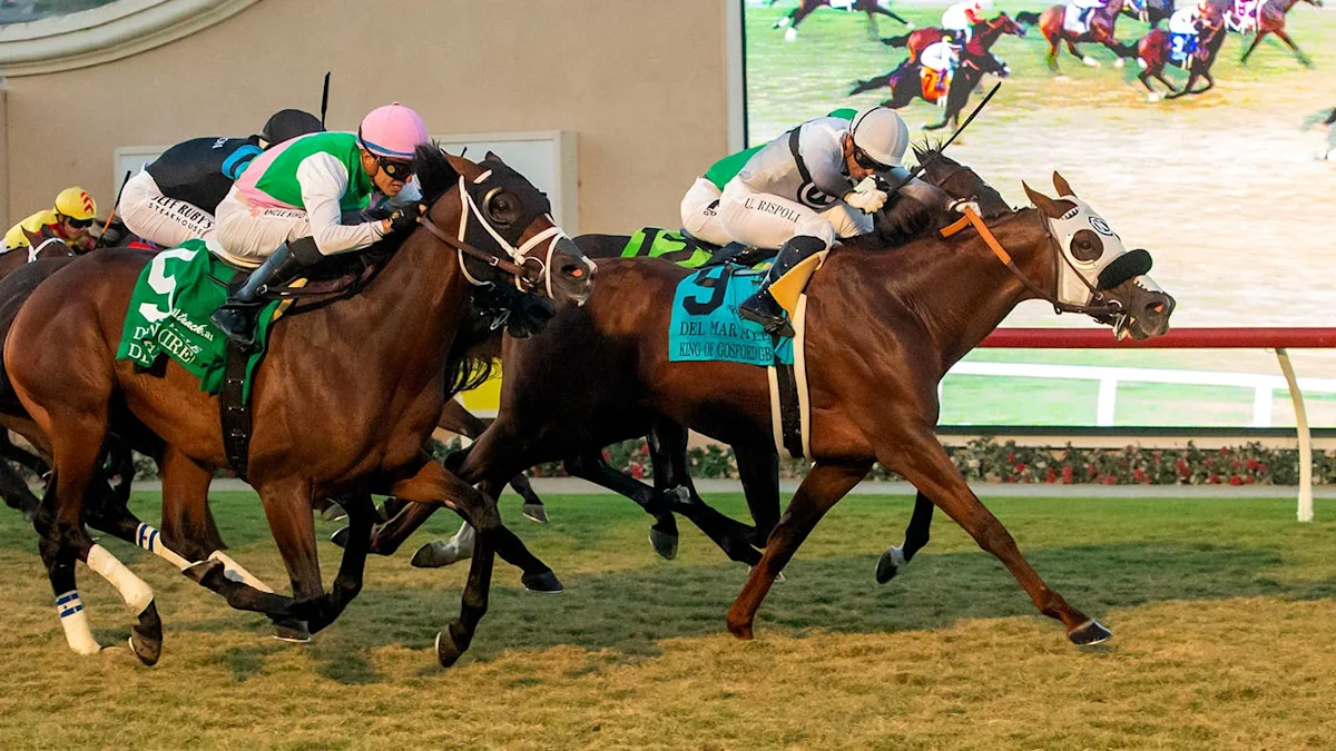 Familiar Rivals Face Off in City of Hope Mile Race