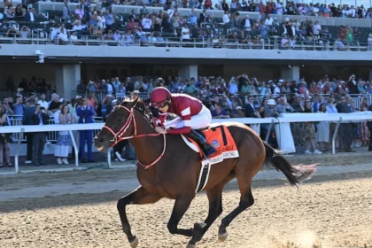 Forever Young Favored 5-2 in Breeders’ Cup Classic Future Wager Pool 2