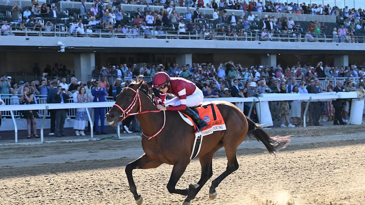 Forever Young Favored 5-2 in Breeders’ Cup Classic Future Wager Pool 2