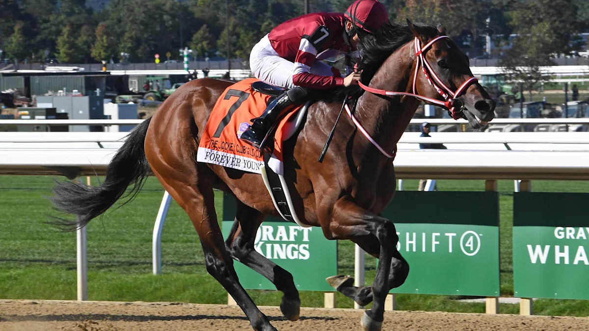 Forever Young Leads Breeders’ Cup Classic Rankings