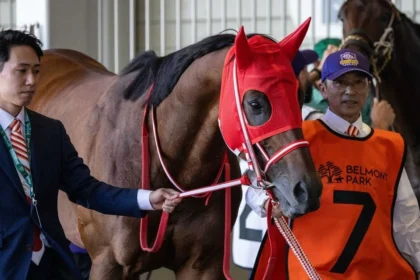 Forever Young Leads as 5-2 Favorite in Breeders’ Cup Classic Future Wager Pool 2