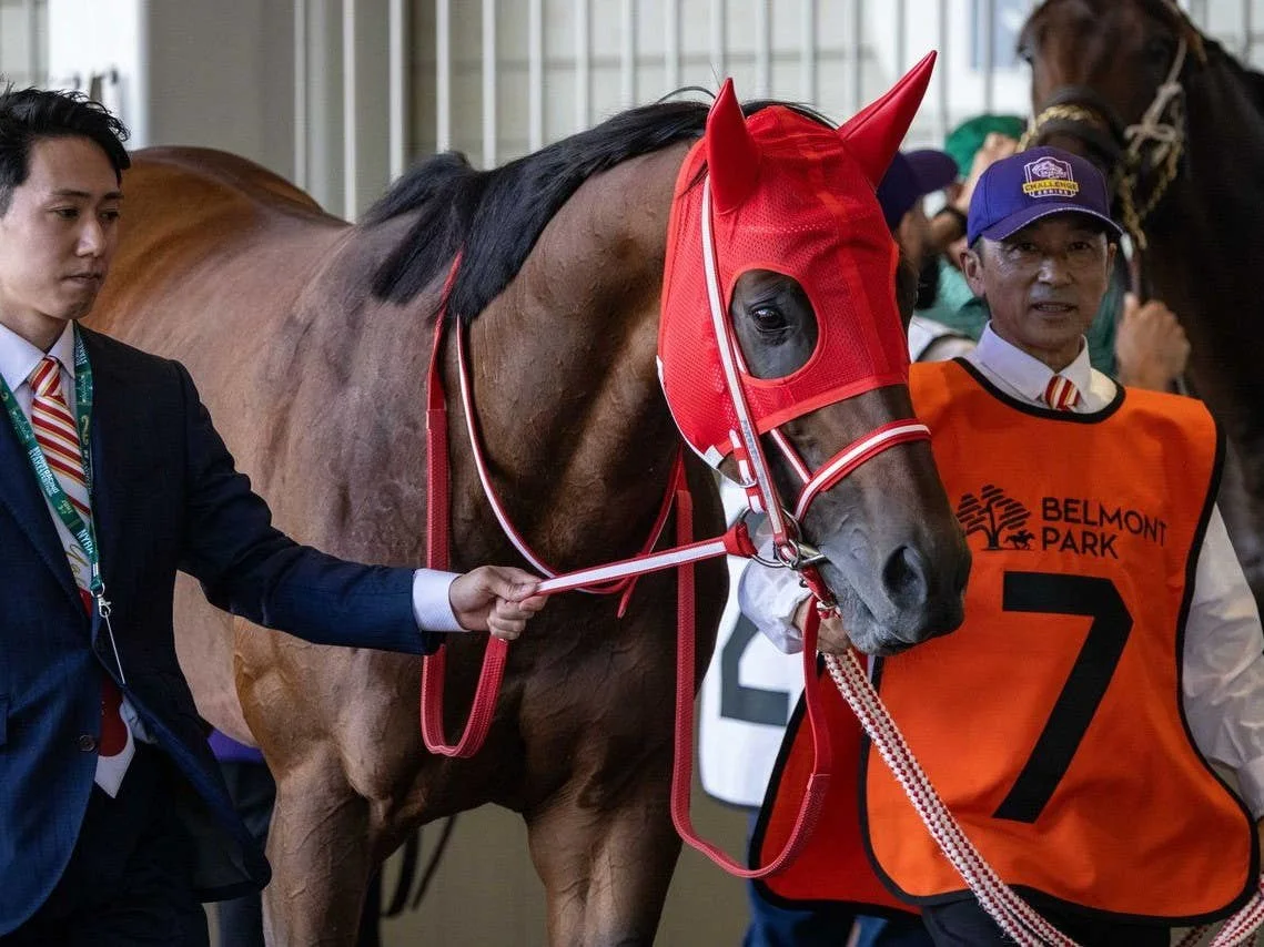 Forever Young Leads as 5-2 Favorite in Breeders’ Cup Classic Future Wager Pool 2