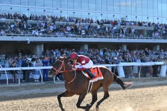 Forever Young Wins Jockey Club Gold Cup, Finishing Approximately 80 Percent Fit