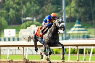 Forged Steel Secures BC Classic Berth at Goodwood
