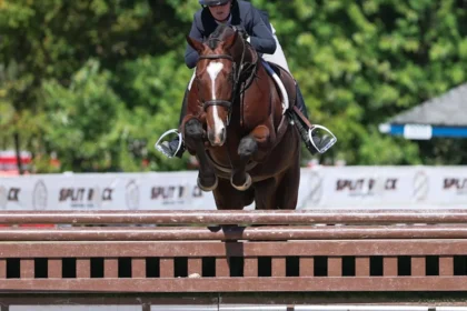 Former Racehorses Dominate TAKE2 Thoroughbred League in 2026