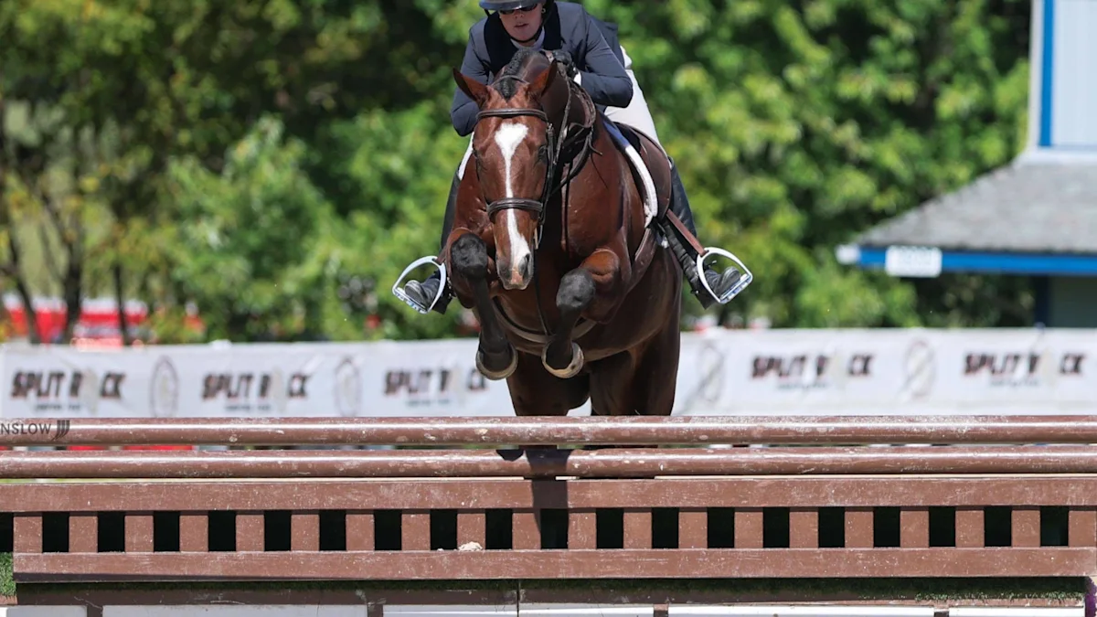Former Racehorses Dominate TAKE2 Thoroughbred League in 2026