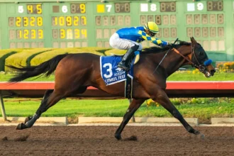 Four Juvenile Stakes to Highlight Los Alamitos Winter Thoroughbred Meet