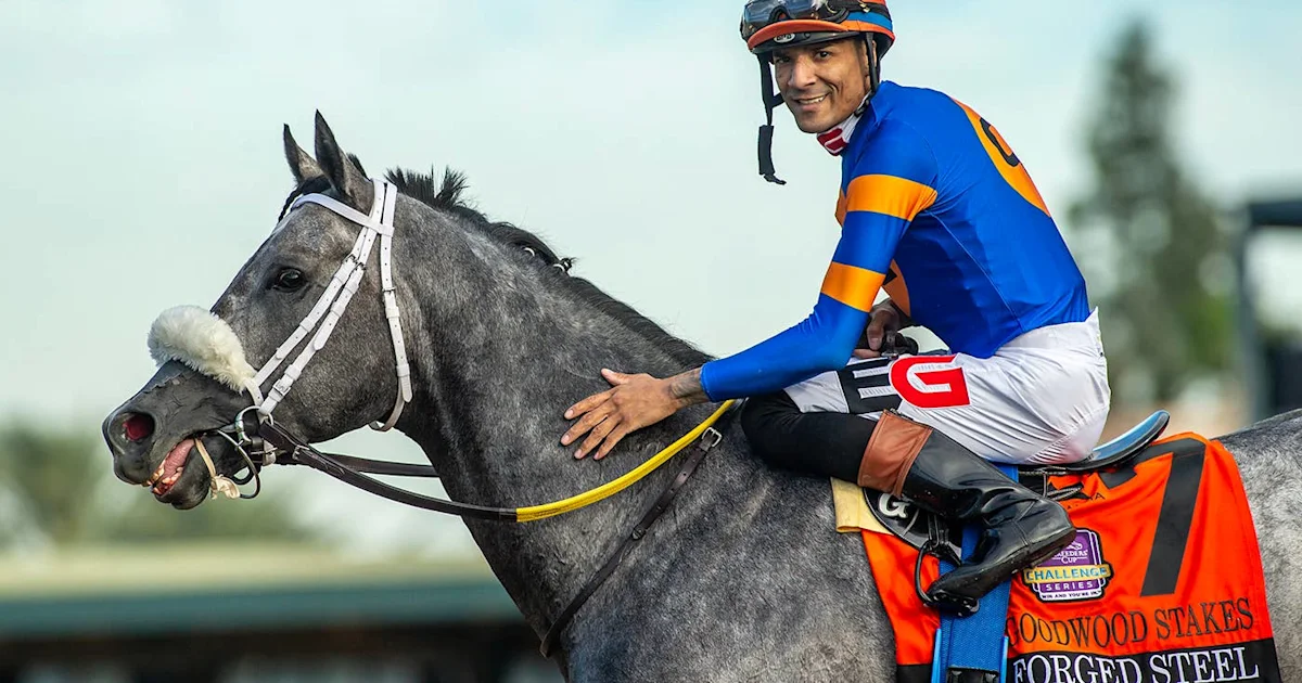 Goodwood Winner Forged Steel Joins Breeders’ Cup Classic Rankings