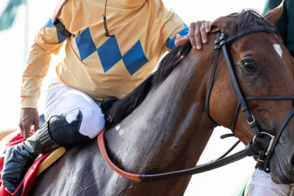 Grade 1 Winner Expensive Queen Cataloged in Book 1 of Keeneland November Sale