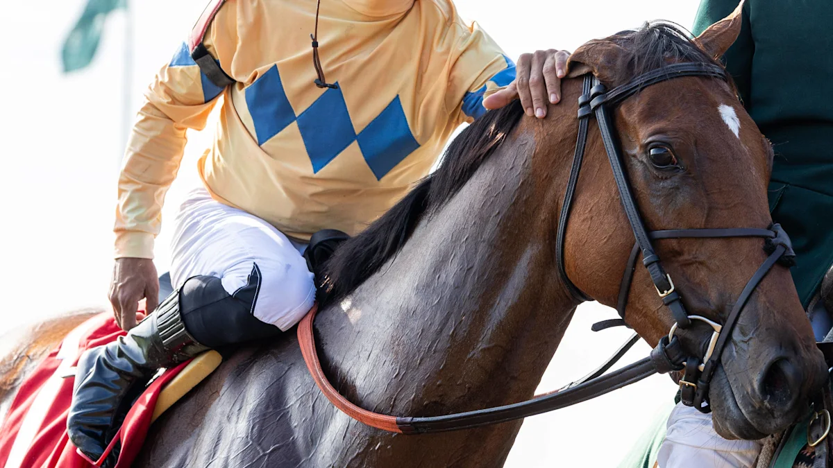 Grade 1 Winner Expensive Queen Cataloged in Book 1 of Keeneland November Sale