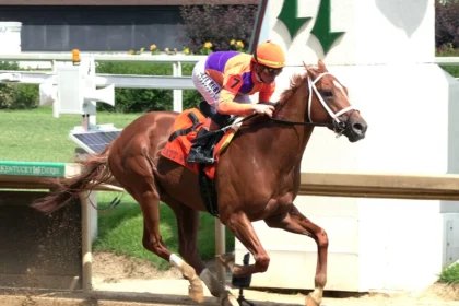 Grade 1 Winner Further Ado Among 11 Horses in Competitive Pennsylvania Derby Field