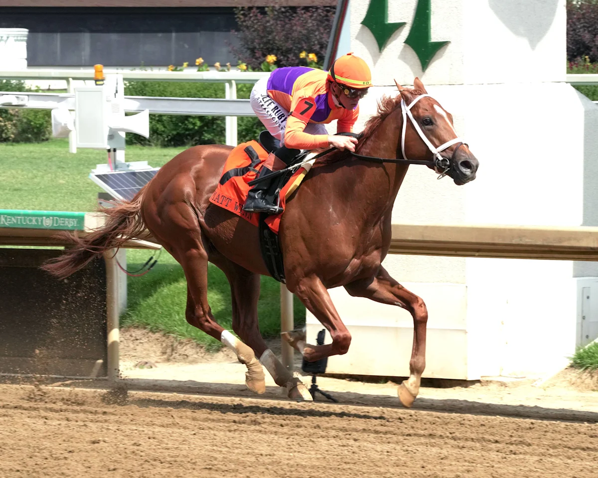 Grade 1 Winner Further Ado Among 11 Horses in Competitive Pennsylvania Derby Field