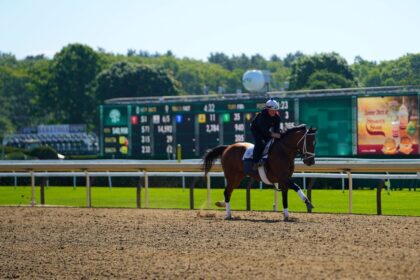Guide to the 2026 Belmont Stakes: Venue, Favorites, and Betting Tips for Each Horse
