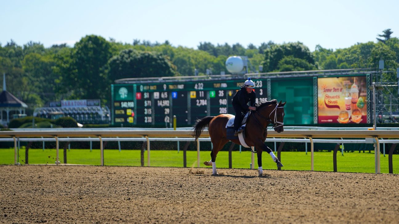 Guide to the 2026 Belmont Stakes: Venue, Favorites, and Betting Tips for Each Horse