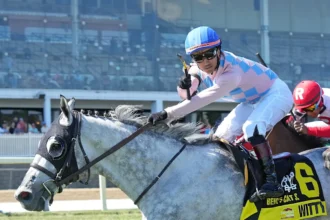 Half-Siblings Witty and Somnium Entered in Stakes at Laurel on Saturday
