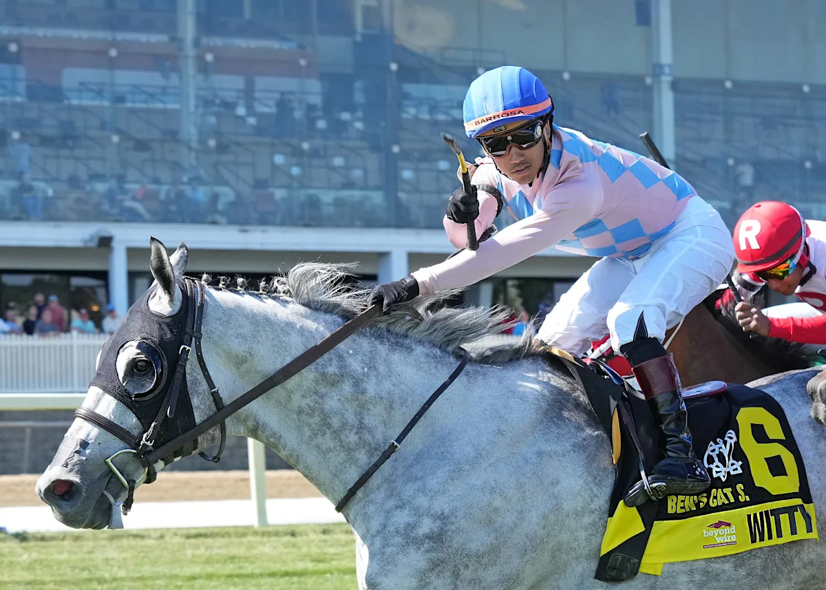Half-Siblings Witty and Somnium Entered in Stakes at Laurel on Saturday