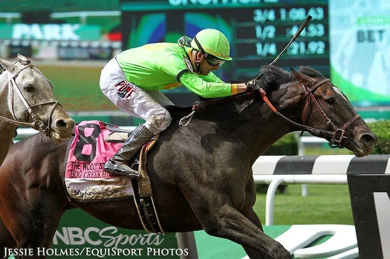 Hog Creek Hustle to Move to Breakway Farm in Indiana for 2027