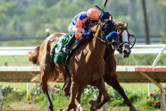 Holmby makes two-turn debut in Oak Leaf Stakes