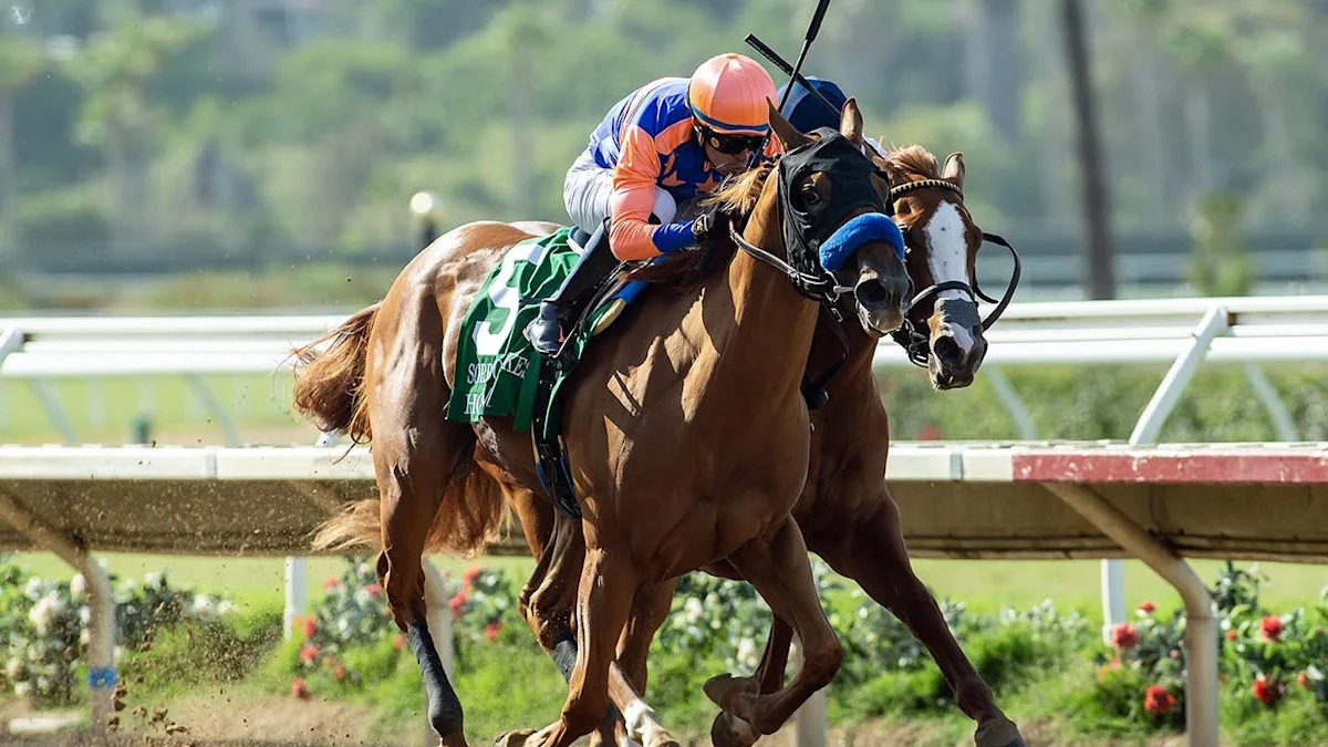 Holmby makes two-turn debut in Oak Leaf Stakes