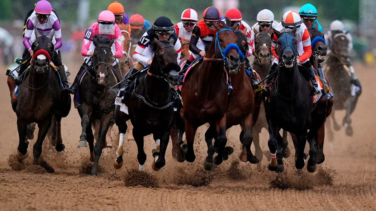 Horse 'Austrian Painter' with troubling past exposes major issue in horse racing industry
