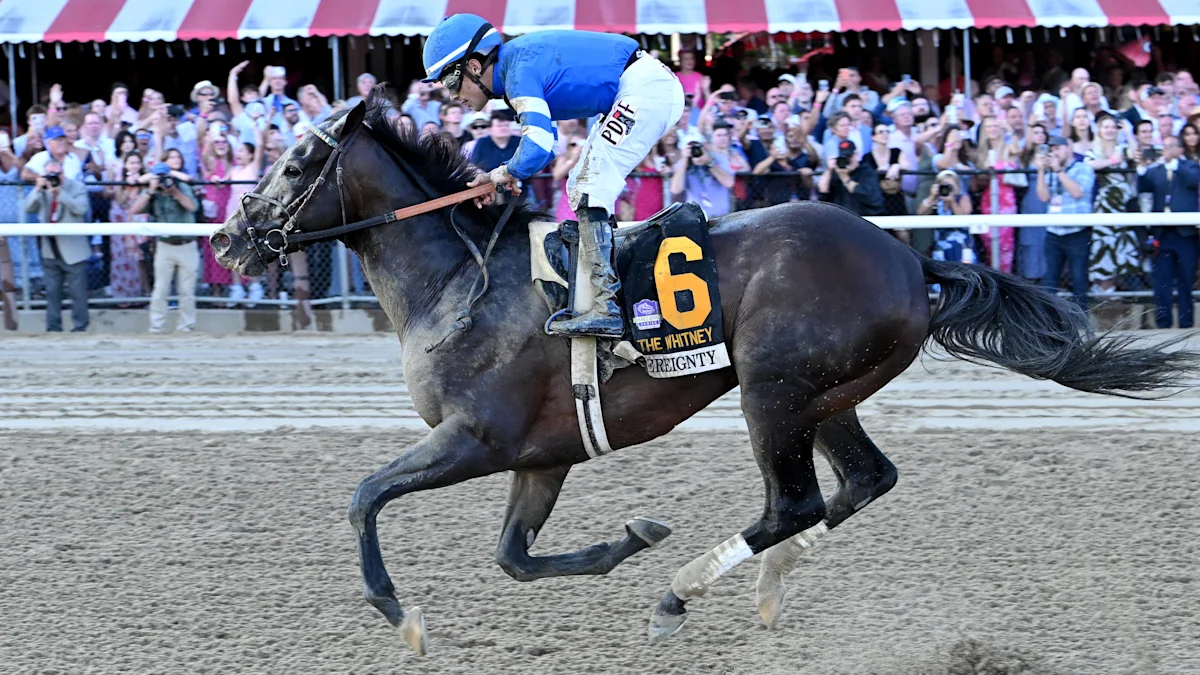 Horse Of The Year Sovereignty Returns to Work Following Hoof Abscess