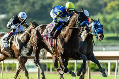 Imagination Returns to California to Defend Santa Anita Sprint Championship Title