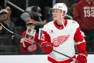 Injury to Jacob Bernard-Docker Opens Opportunity for Young Red Wings Defensemen
