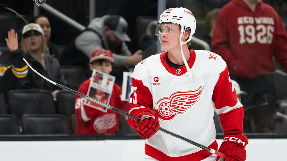 Injury to Jacob Bernard-Docker Opens Opportunity for Young Red Wings Defensemen