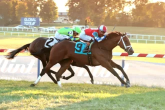 Just Joe Cuts Back in Futurity Race