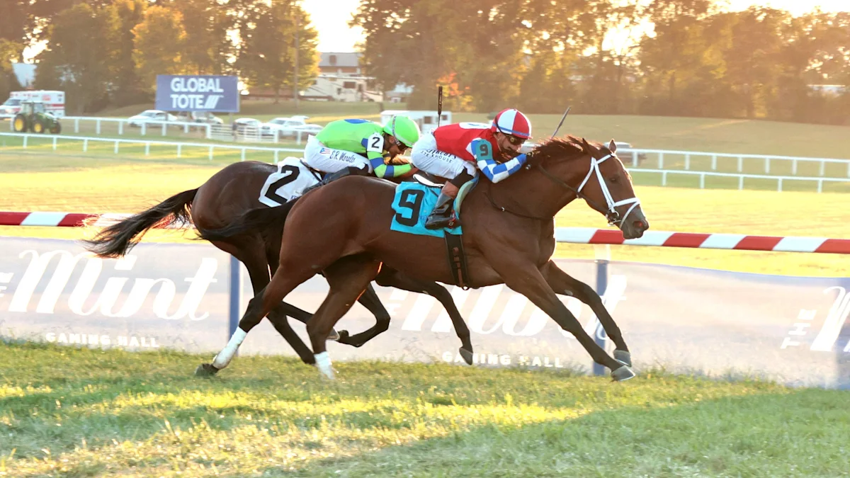 Just Joe Cuts Back in Futurity Race
