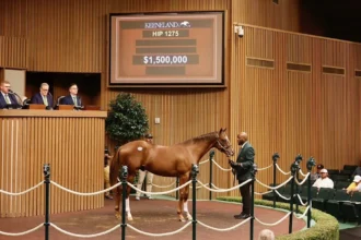 Keeneland September Sees Increases in Average and Median Prices on First Day of Book 3