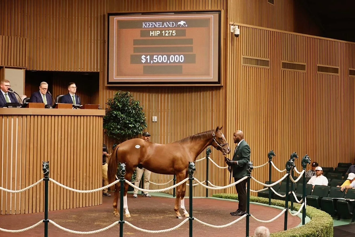 Keeneland September Sees Increases in Average and Median Prices on First Day of Book 3