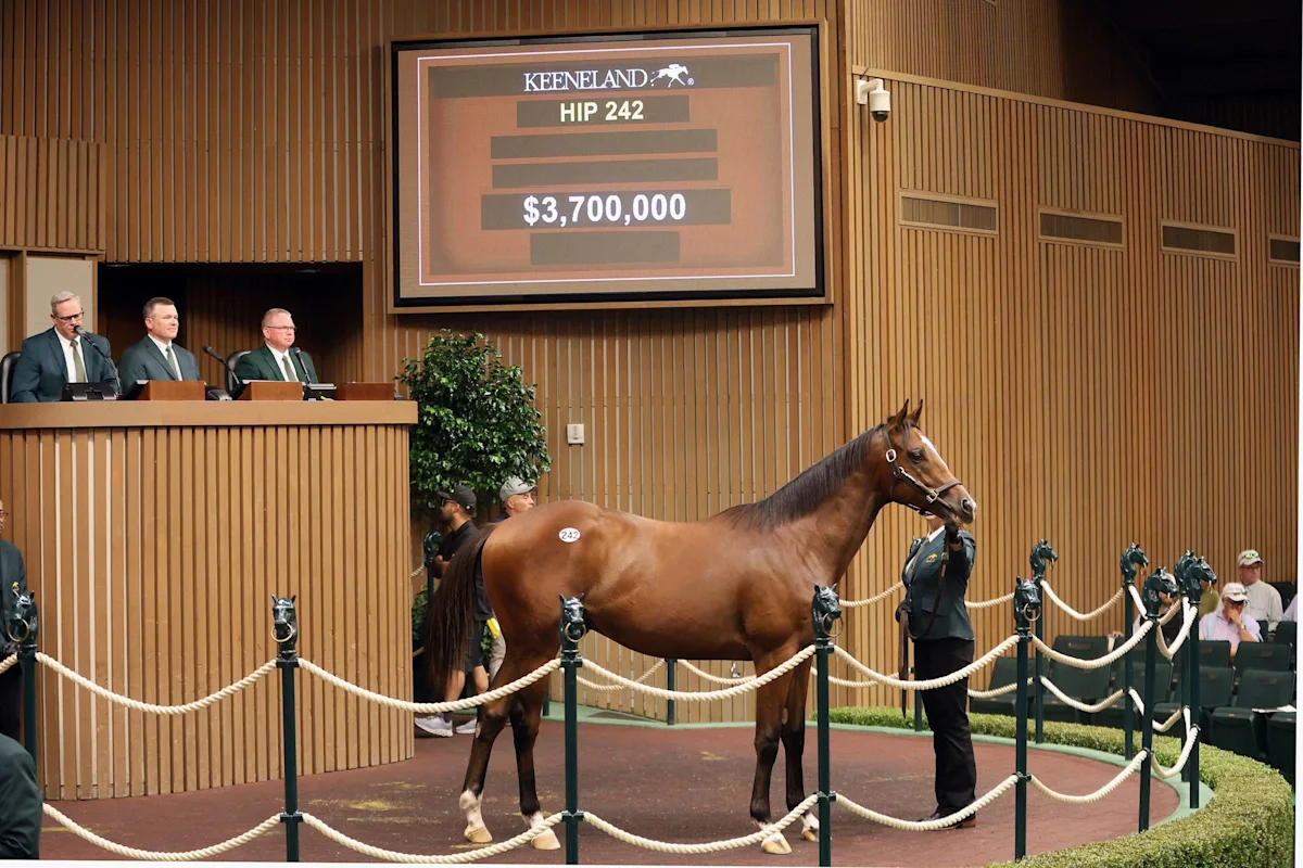 Keeneland September Yearling Sale Hits Record Highs on Tuesday