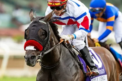 Little Opal Wins John C. Harris Race in Gate-to-Wire Romp