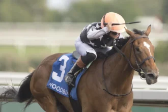 Lupa Rebounds to Win Ontario Matron Stakes
