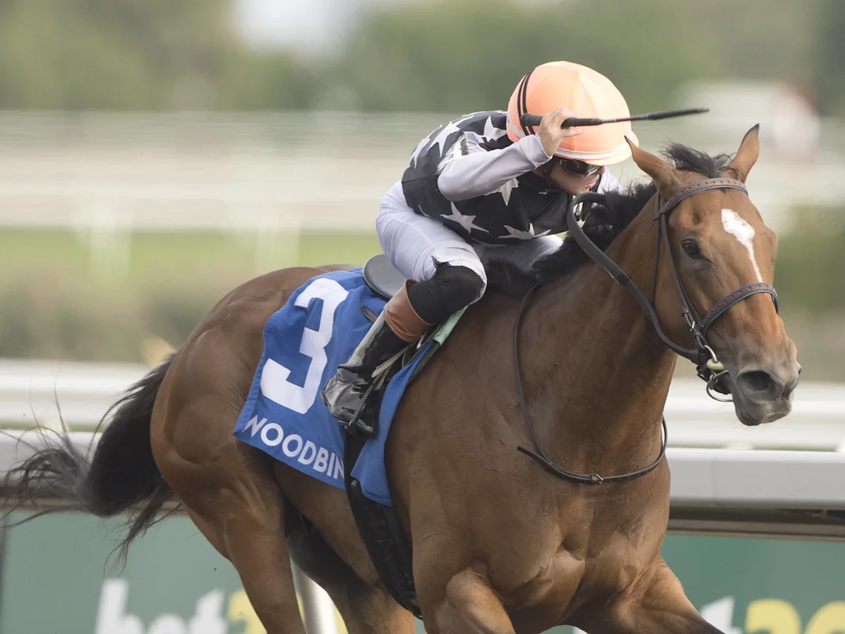 Lupa Rebounds to Win Ontario Matron Stakes