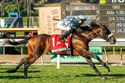 Mandella Enters Atitlan and Brazilian Sinsel in John Henry Turf Championship