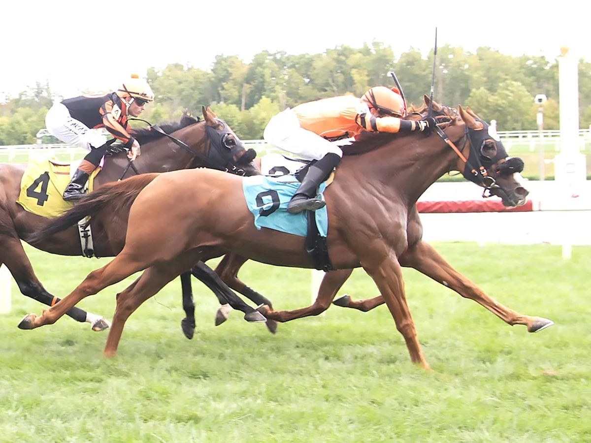 Megan Salzman Wins First Race as Trainer at Laurel Park
